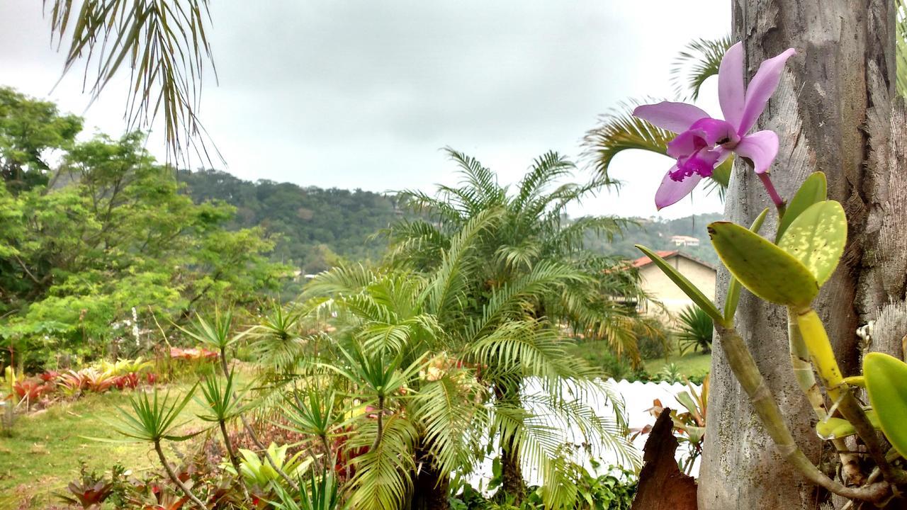 Morada Crisalida Hotell Praia do Rosa Exteriör bild