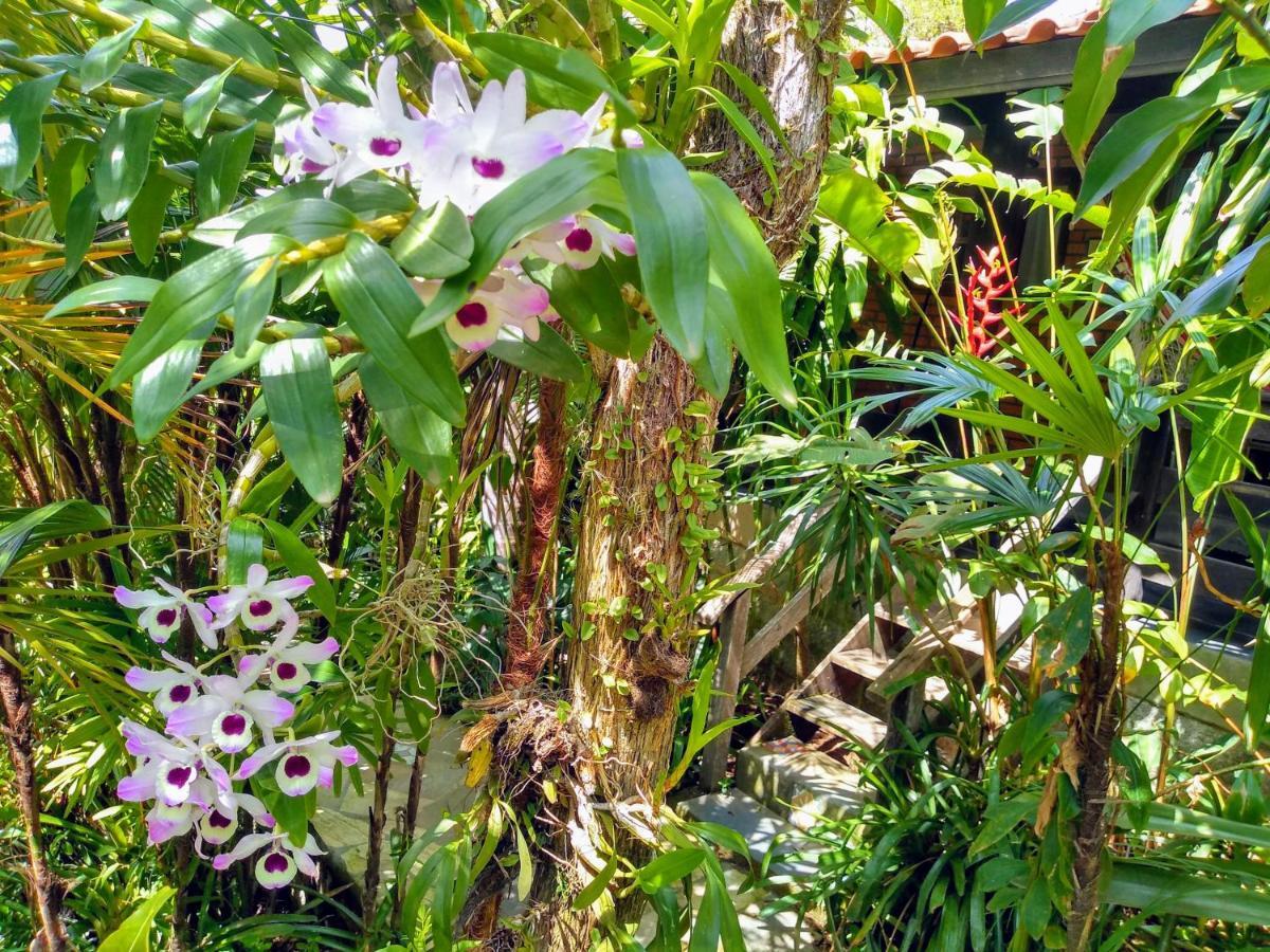 Morada Crisalida Hotell Praia do Rosa Exteriör bild